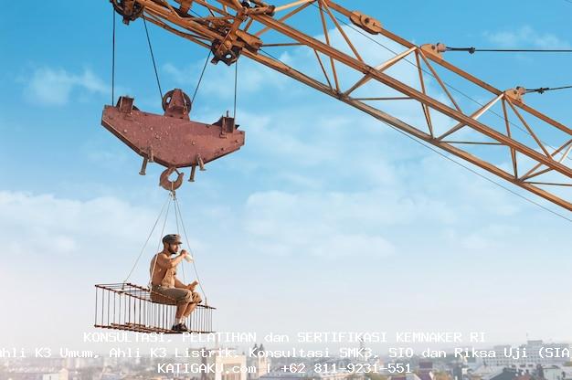 Jenis Crane dan Fungsinya: Panduan Lengkap untuk Memahami Jenis-jenis Crane 