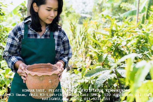 Mandor Pekerjaan Timbunan Tubuh Bendungan Tipe Urugan 