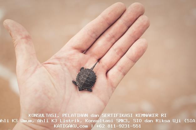 Memahami Risiko Penyuapan Secara Mendalam: ISO 37001 sebagai Solusi Memahami Risiko Penyuapan Secara Mendalam: ISO 37001 sebagai Solusi