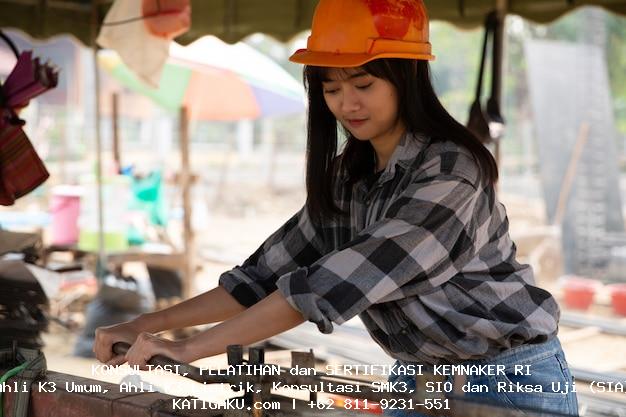 Tugas Dan Fungsi BPPTIK Tugas BPPTIK, Fungsi BPPTIK, Pusat Pelatihan Teknologi Informasi dan Komunikasi