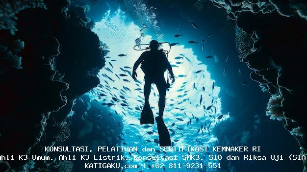 Tukang Las Bawah Laut (Underwater Welder): Kerja 2 Jam, Gajinya Bisa Rp 5 Juta/Hari  tukang las bawah laut (underwater welder)